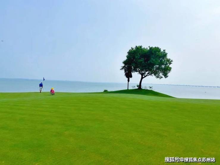 望湖(2024望湖)首页网站-望湖售楼处欢迎您-最新价格户型配套小区环境(图7)