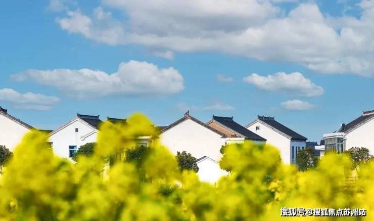 望湖(2024望湖)首页网站-望湖售楼处欢迎您-最新价格户型配套小区环境(图9)