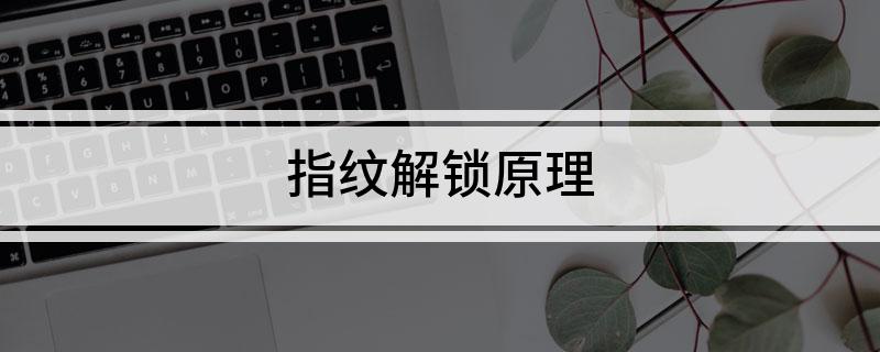 指纹解锁原理